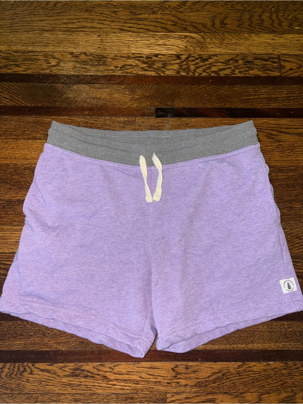 Men’s Chubbies shorts